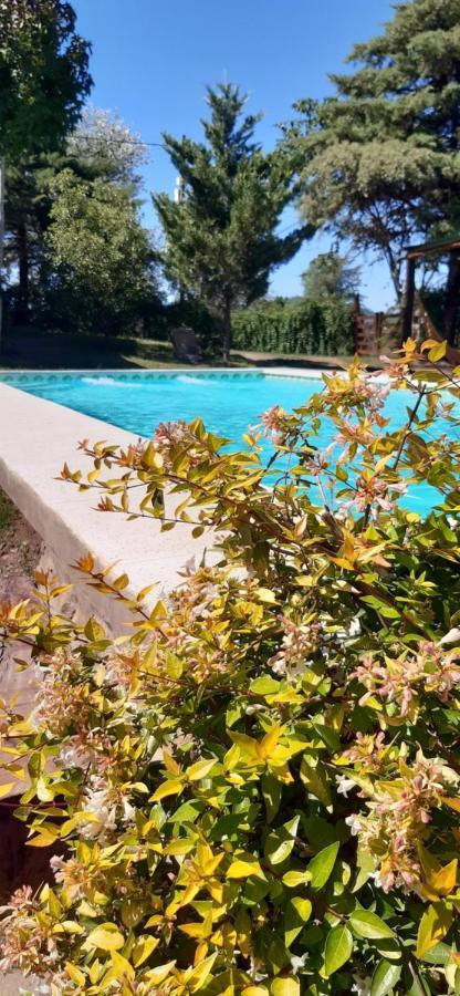 Cabanas Farah Estancia Vieja Ideal Para 2 A 3 Huespedes Villa Carlos Paz Luaran gambar
