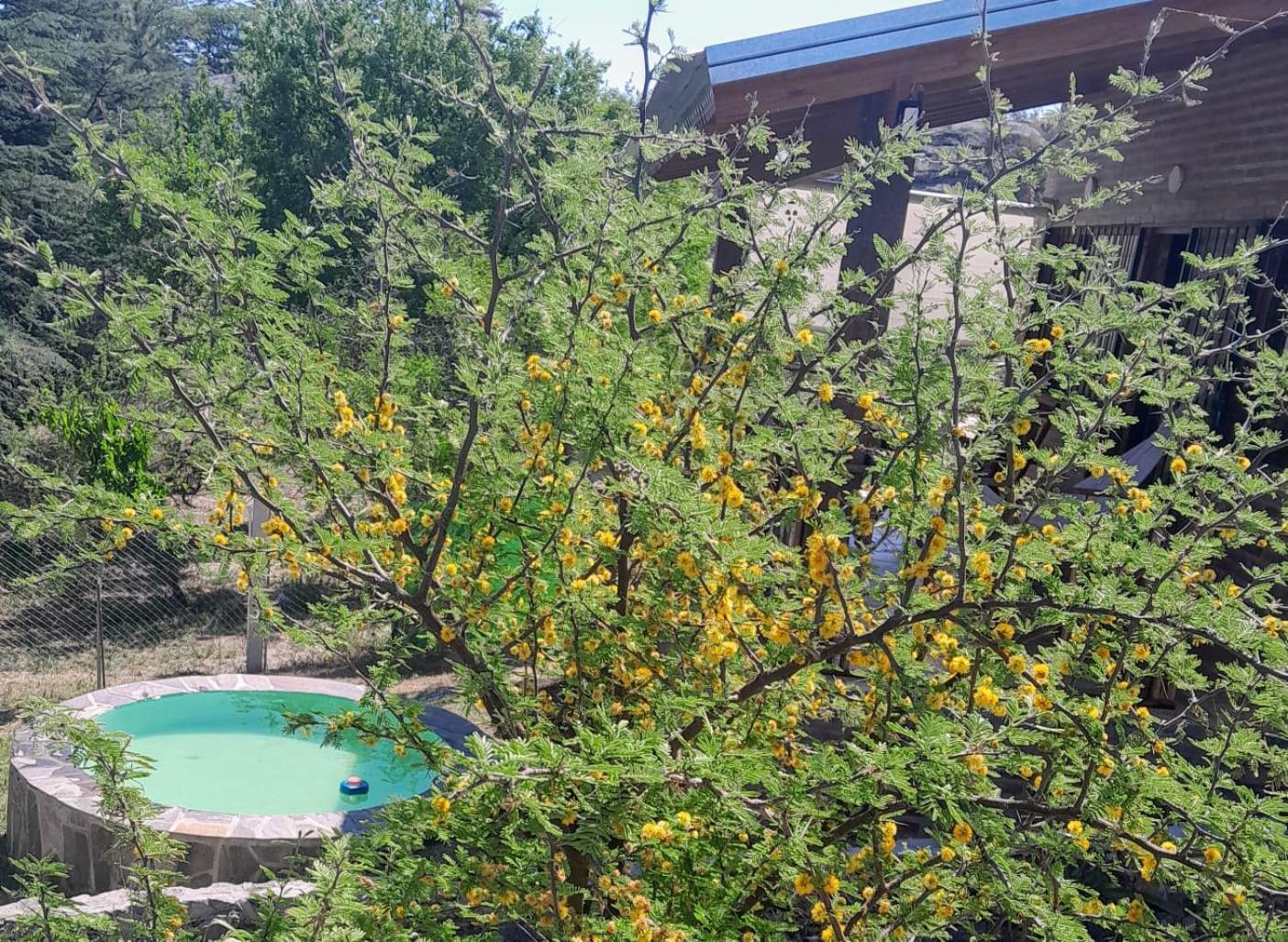 Cabanas Farah Estancia Vieja Ideal Para 2 A 3 Huespedes Villa Carlos Paz Bilik gambar